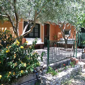 Il Vigneto Gaggi